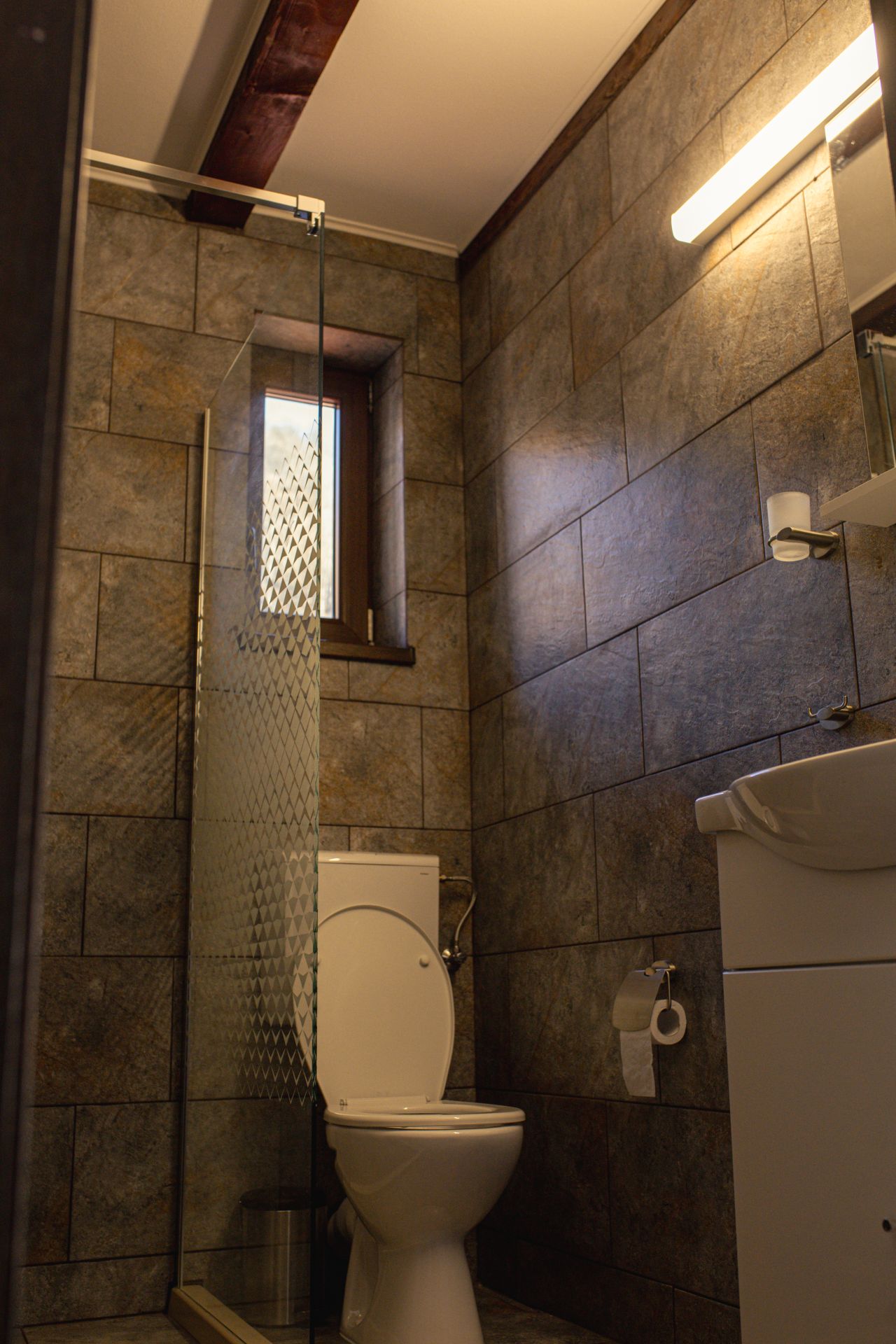 Camera dubla – vedere 3